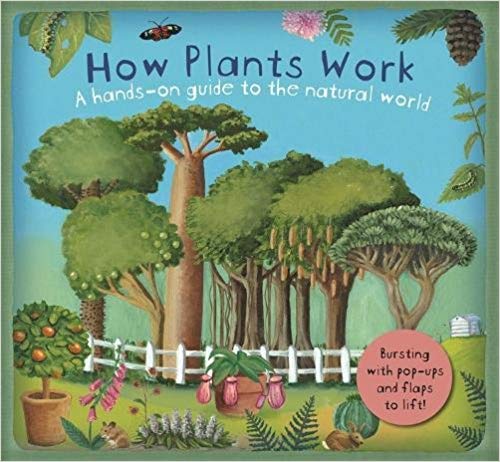 How Plants Work 